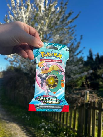 Pokémon - Lot de 16 Blisters EV9