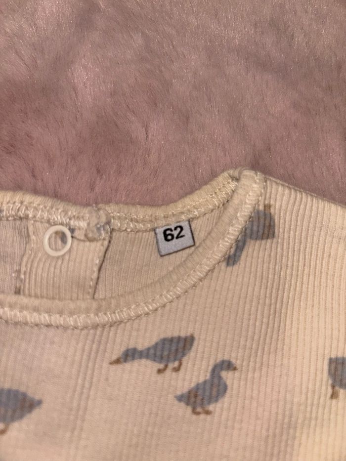 Ensemble Zeeman - photo numéro 3