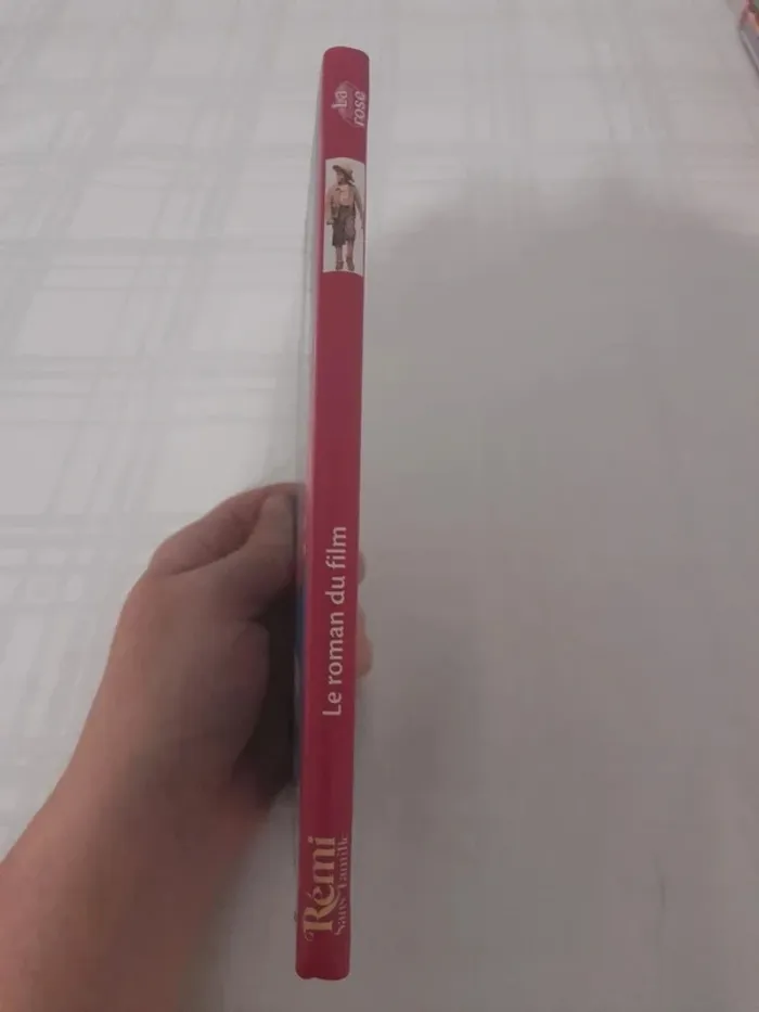 Livre Rémi sans famille 8/10ans - photo numéro 3