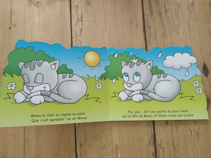 Livre - photo numéro 6