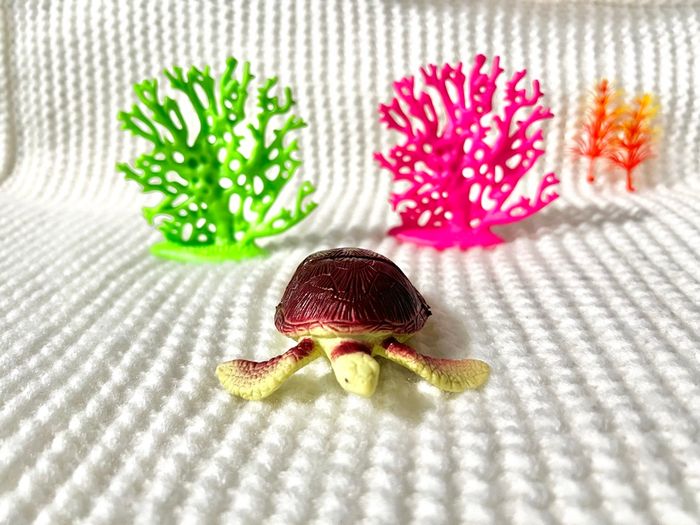 Crabe, requins, tortue, cage, hippocampe, algue, calamar. - photo numéro 7