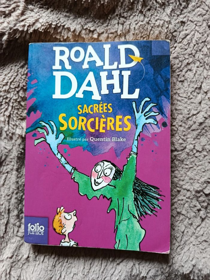 Livre poche sacrées sorcières