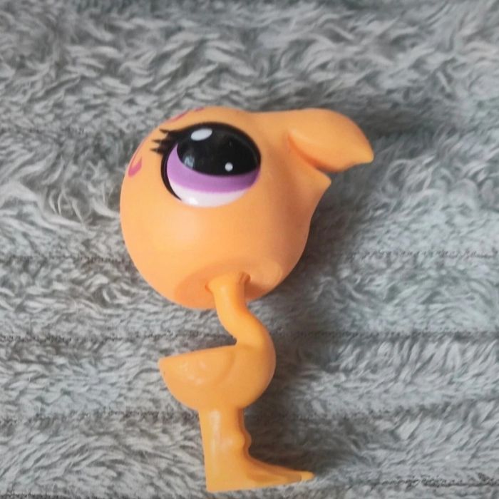 Petshop autruche 3540 ? - photo numéro 2