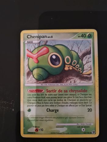 Carte pokemon chenipan