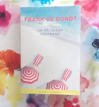 UN DELICIEUX NAUFRAGE de Frank de BONDT Ed. Buchet.Chastel