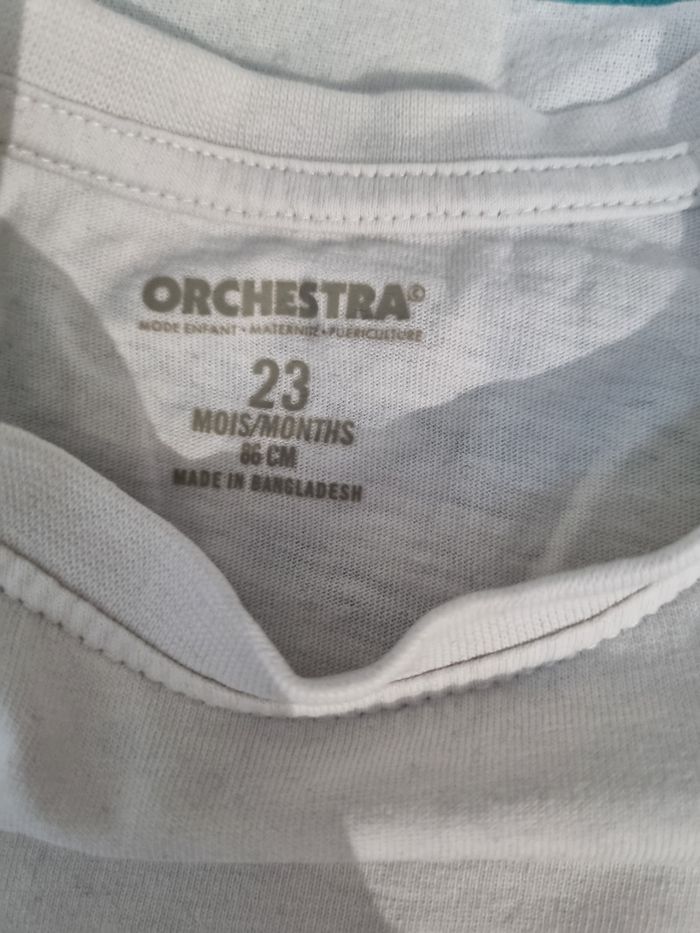 Tshirt manches longues 23mois - photo numéro 3