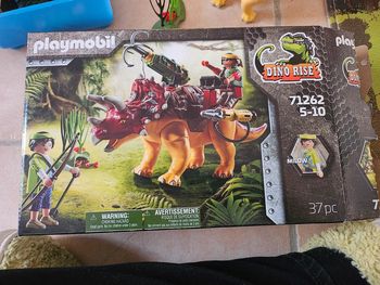 Playmobils dinosaures 71262
