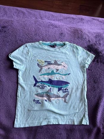T-shirt manches courtes garcon en coton turquoise thème requins Sergent major taille 4 ans