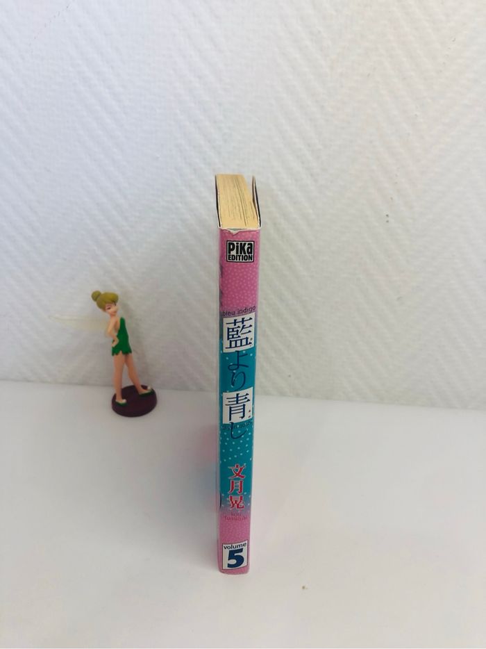 Blue Indigo (Ai yori aoshi) volume 5 - photo numéro 3