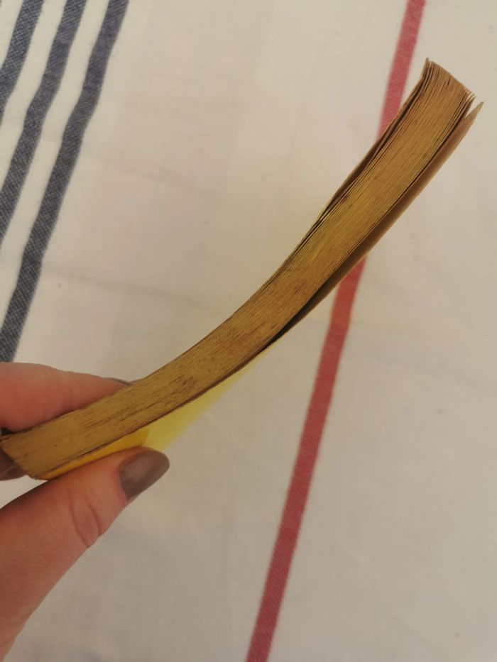 Paul Verlaine, la bonne chanson, romances sans paroles et sagesse - photo numéro 4