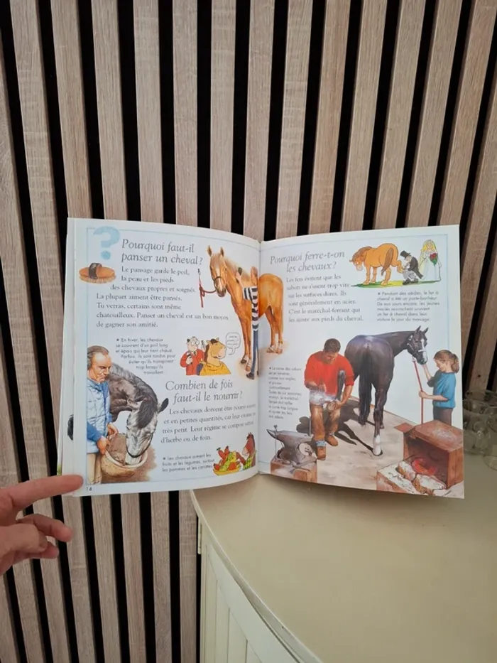 Livre Questions Réponses  Les chevaux - photo numéro 3