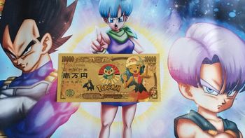 Billet Pokemon Dresseur Collector Pocket Monster card carte ticket goodies