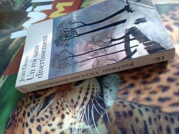 Un roi sans divertissement