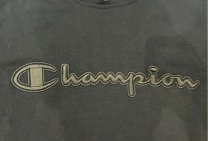 Pull Champion - photo numéro 2