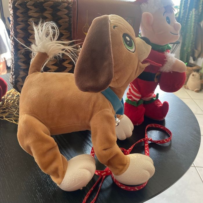 Chien avec sa laisse à promener les toutous - photo numéro 2