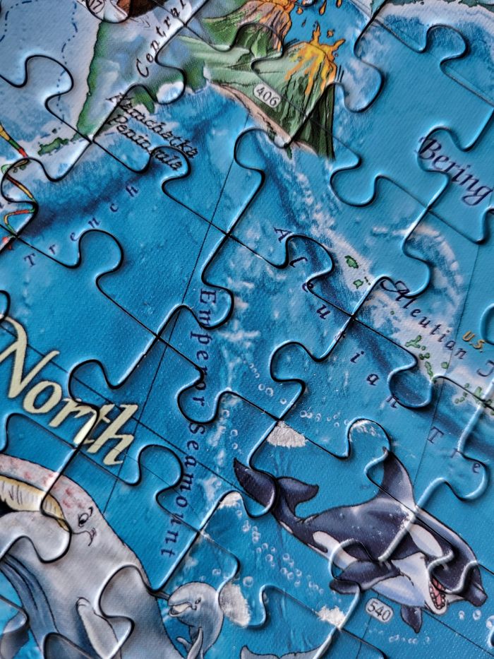 Puzzle mappemonde Amazing world. - photo numéro 2