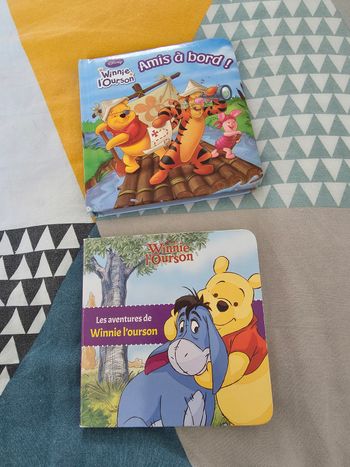 Livres winnie l'ourson