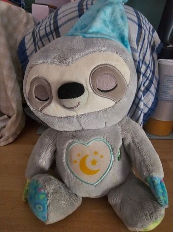 Mon paresseux rêves merveilleux