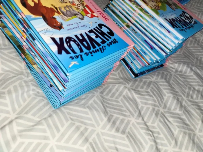 collection Mes amis les chevaux - photo numéro 13