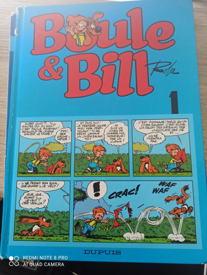 Boule et bill