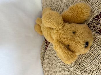 Peluche chien beige couché AIR DRY
