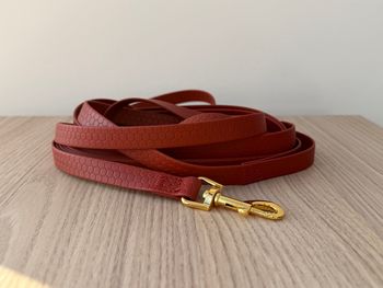 Longe de 6 mètres pour chien - biothane hexa [bordeaux]