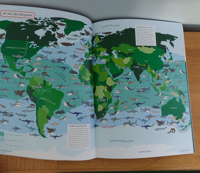 Requins - l'école des loisirs - photo numéro 2