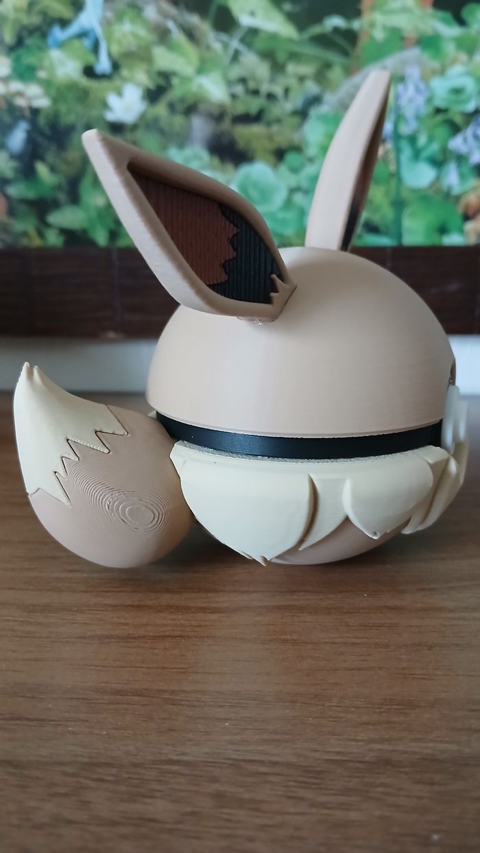 Pokeball Evoli - photo numéro 2