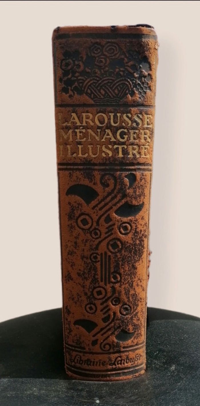 Dictionnaire ancien- Larousse Ménager illustré -1926 - photo numéro 2