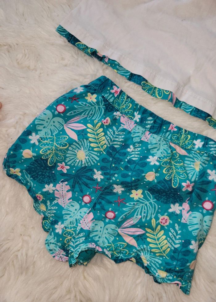 Ensemble tortue dpam 24m - photo numéro 4