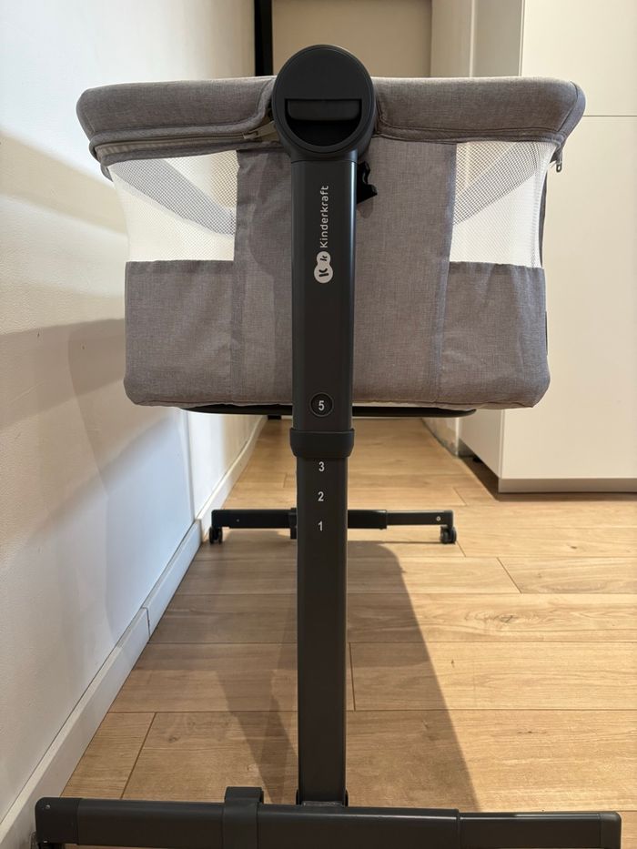 Cododo - photo numéro 4