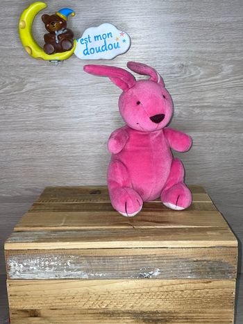 SOL168 doudou lapin 🐰 Tupperware