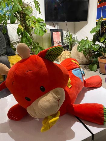 Peluche géante multi activité