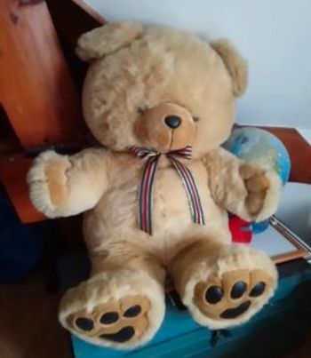 Magnifique ours de 60 cm