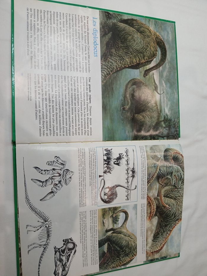 Livre La Préhistoire - photo numéro 3