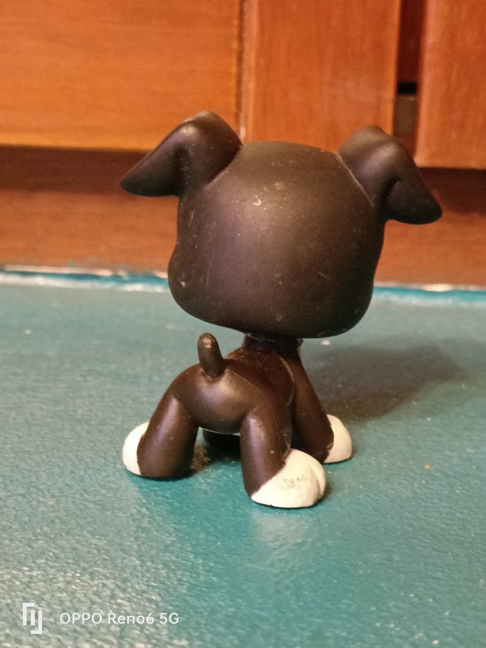 LPS boxer - photo numéro 2