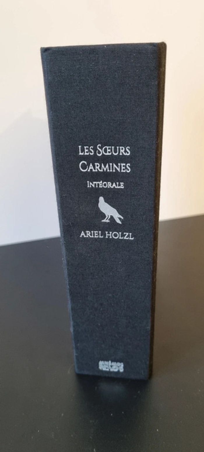 Les Soeurs Carmines, intégrale
Ariel Holzl - photo numéro 5