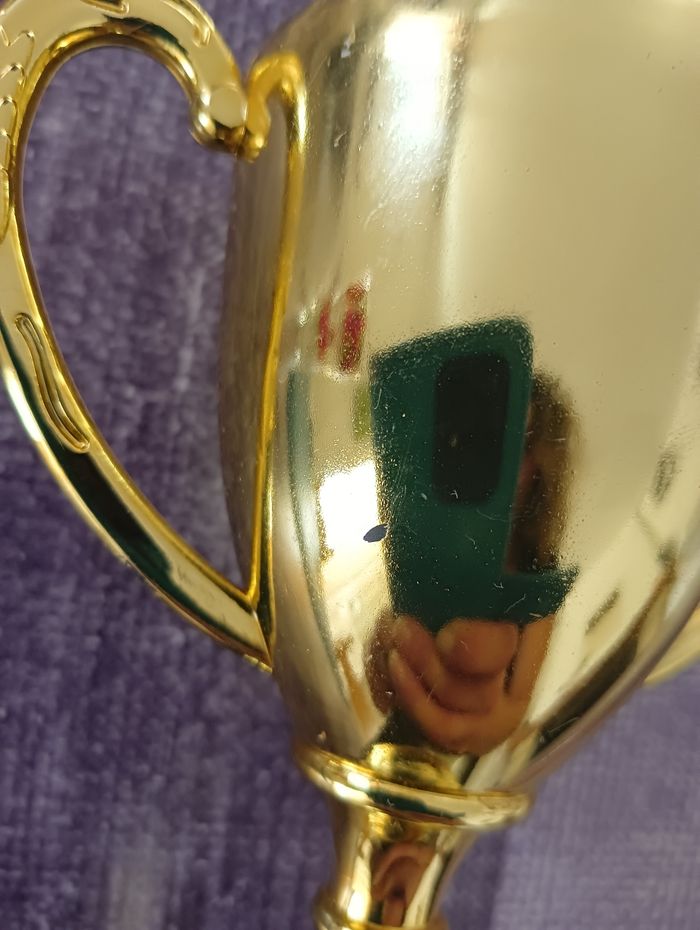 Coupe plus médaille - photo numéro 4