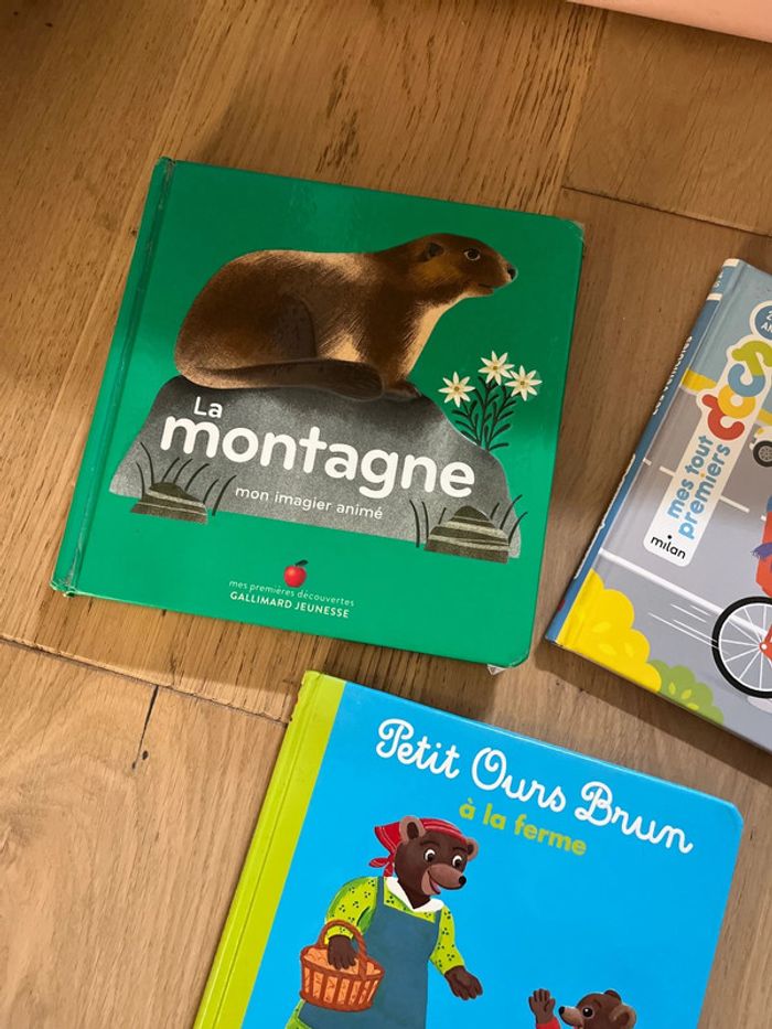 Lot 3 livres - photo numéro 2