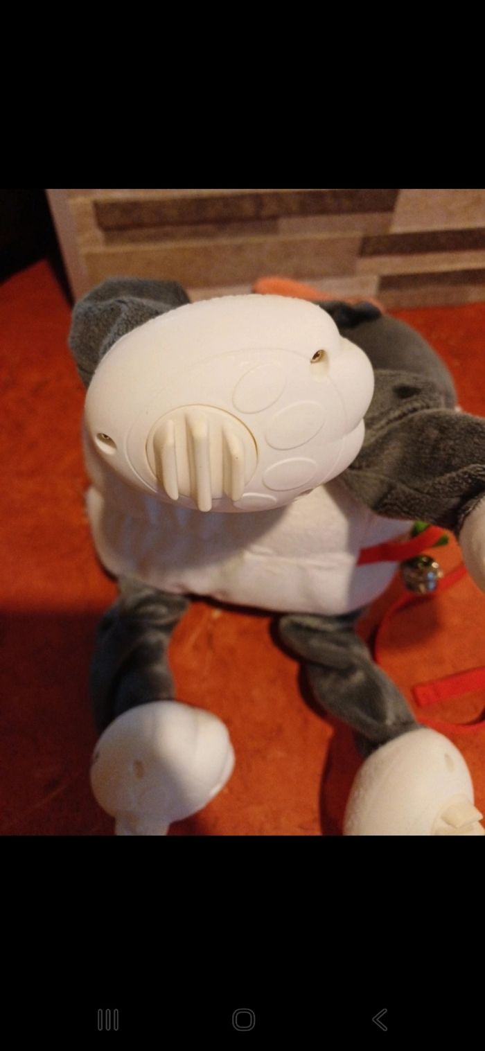 Chien bulldog gris toufous - photo numéro 5