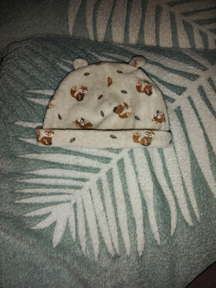 Bonnet