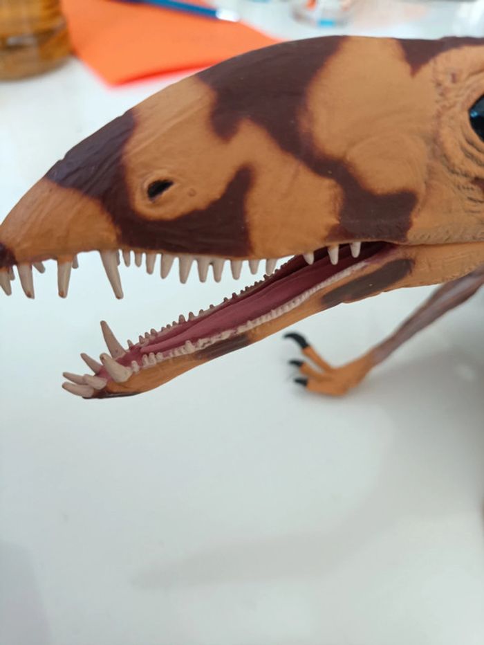 Dinosaure - photo numéro 3