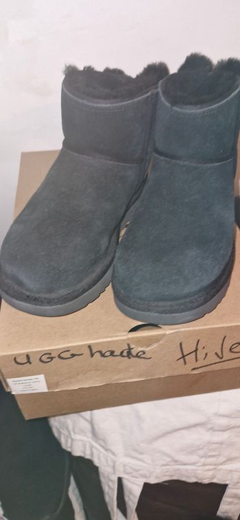 UGG suede