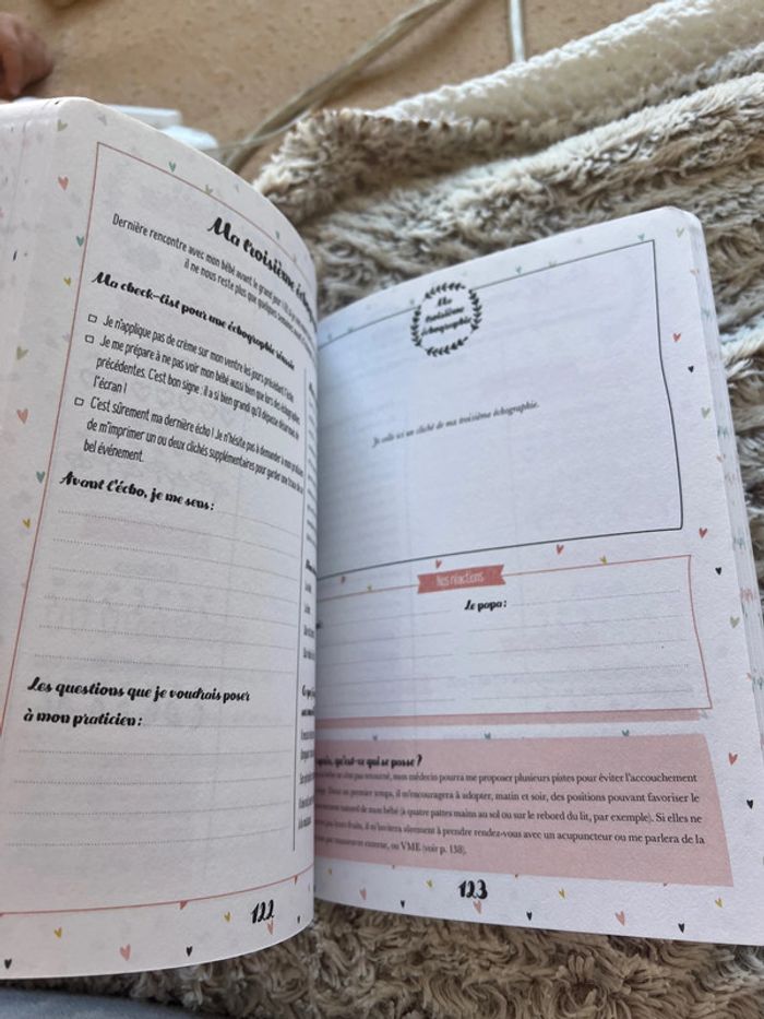 Petit journal de ma grossesse - photo numéro 3