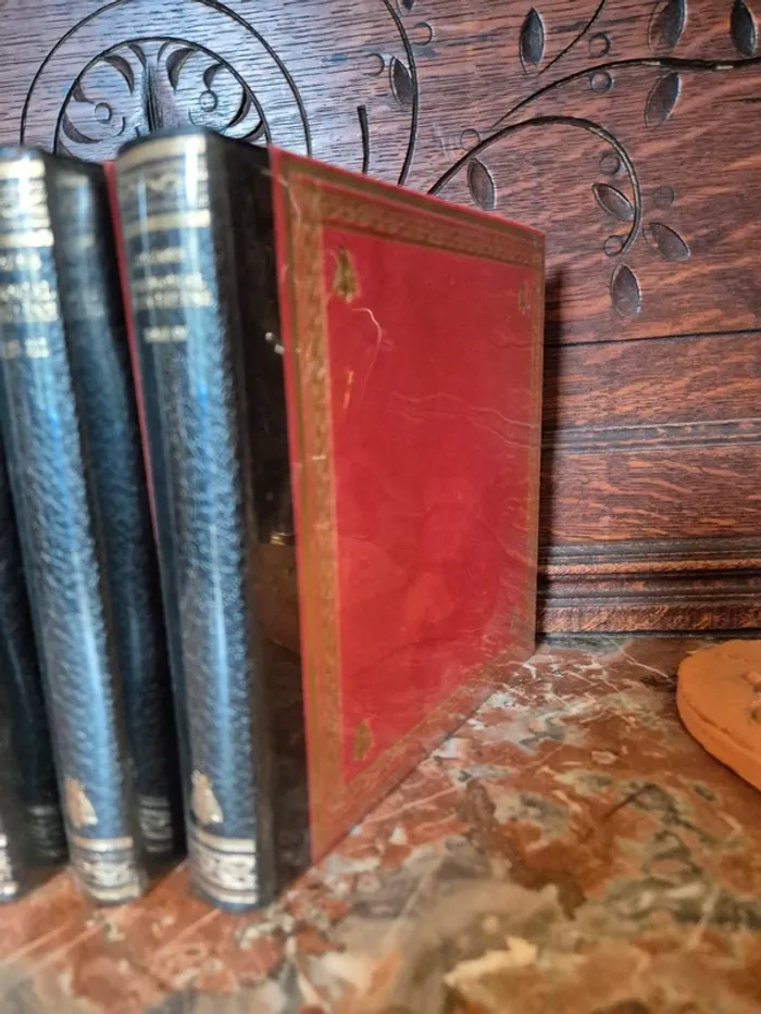 📚 Le mémorial de Ste Hélène - 4 tomes 📚 - photo numéro 6
