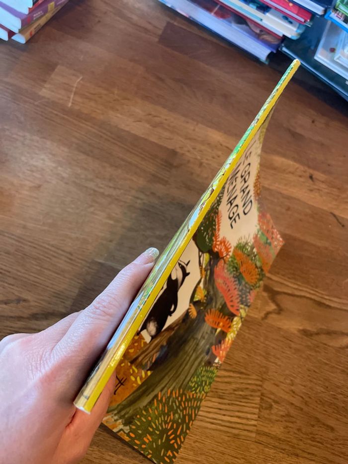 Livre L’école des max Le grand ménage - photo numéro 2