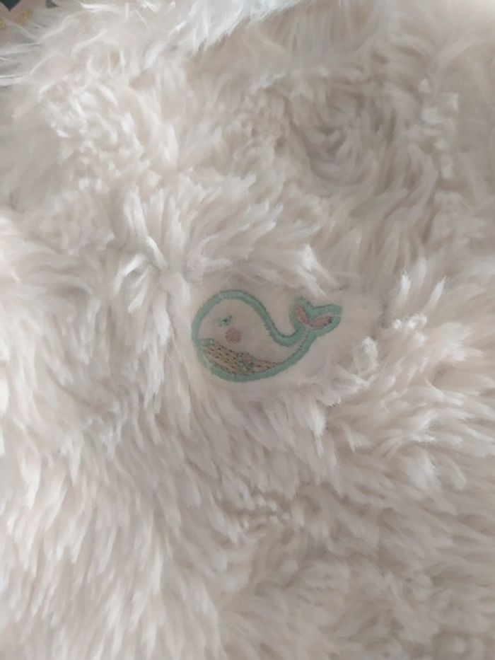 Jolie veste - photo numéro 3