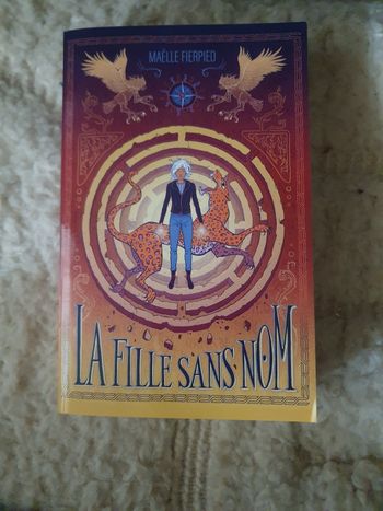 Livre la fille sans nom