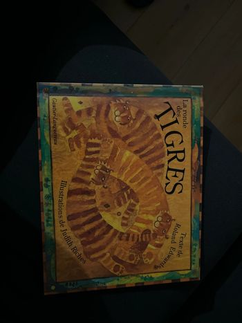 Livre pour enfants la ronde des tigres par Roland Edwards et Judith Riches