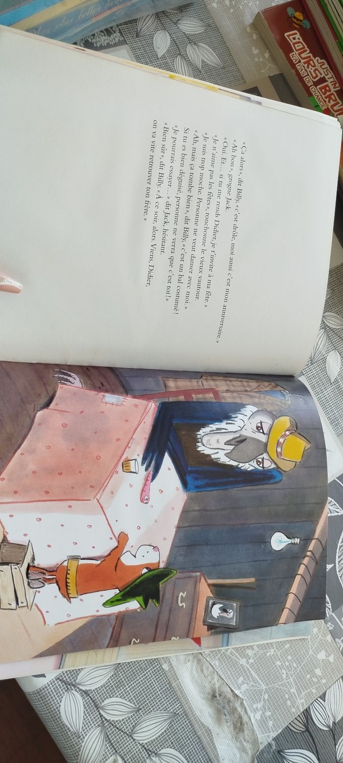 Livre enfant - photo numéro 3